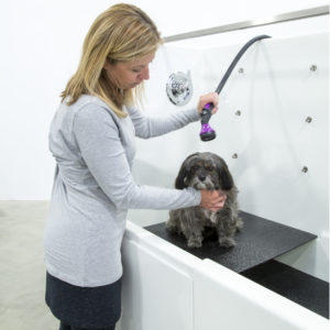 Copy of _MG_5600 Copy of _MG_5600