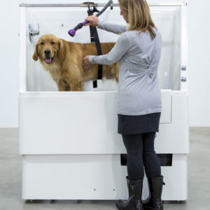 Dog Wash in use Dog Wash in use