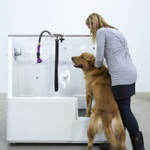 Dog wash dog getting in Dog wash dog getting in