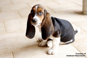 Cara_de_quem_caiu_do_caminhão...-300x200